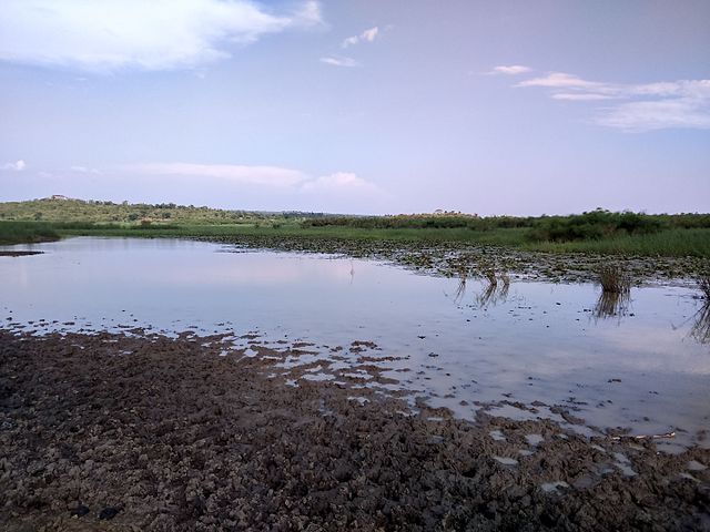 Yala Swamp（水系 / 湖泊 / 海岸）-非行家旅行-Africa Wild Wander