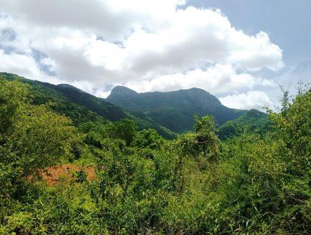 Mount Kasigau（卡西高山）-非行家旅行-Africa Wild Wander