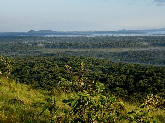 Amboseli National Park, Kakamega National Reserve, Arabuko-Sokoke Forest Reserve, Watamu Marine National Park, Malindi Marine National Reserve and Park（水系 / 湖泊 / 海岸）-非行家旅行-Africa Wild Wander