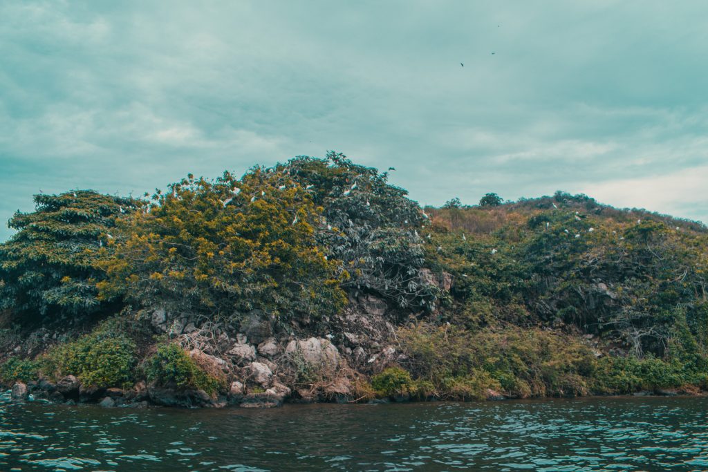 Mbasa Island（水系 / 湖泊 / 海岸）-非行家旅行-Africa Wild Wander