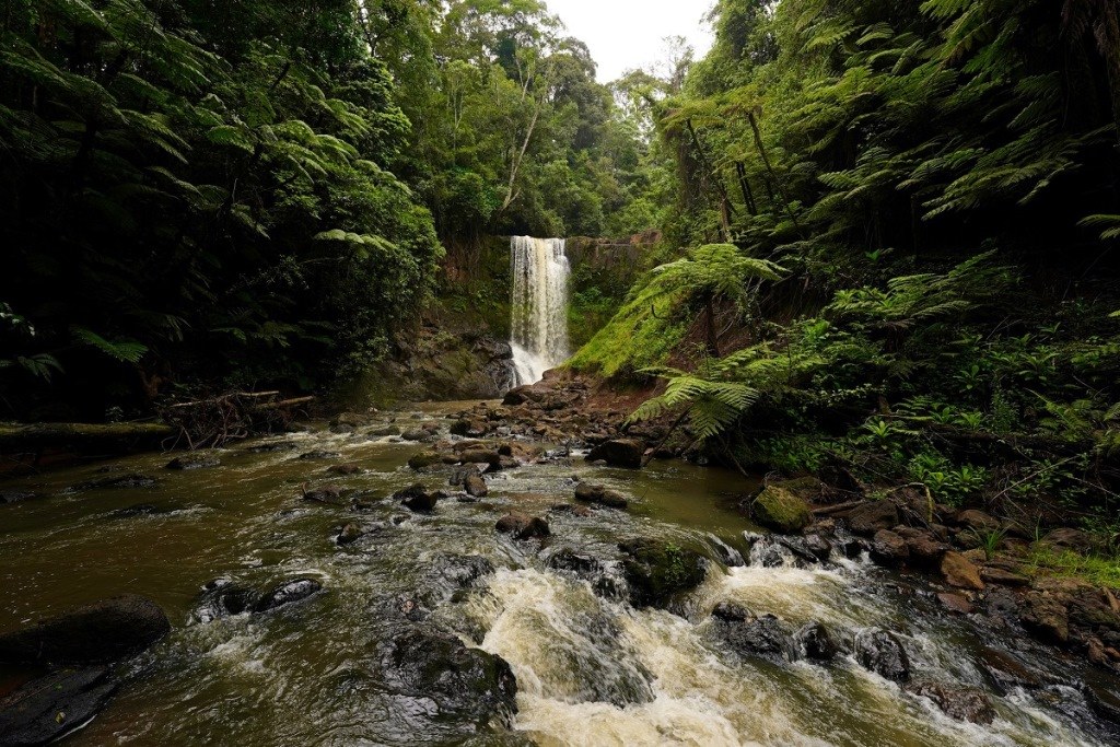 Irangi Forest Station（自然景观 / 徒步）-非行家旅行-Africa Wild Wander