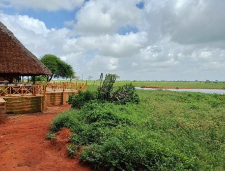 Ngutuni Wildlife Lodge（保护地 / 私营保护区）-非行家旅行-Africa Wild Wander