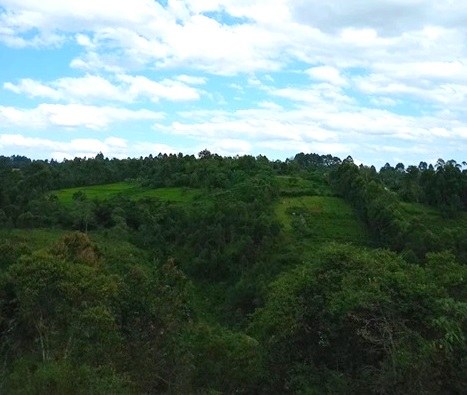 Chereres Falls（水系 / 瀑布）-非行家旅行-Africa Wild Wander