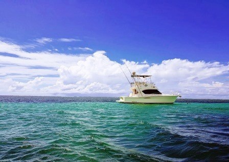 Diani-Chale Marine National Reserve（迪亚尼-查莱海洋国家保护区）-非行家旅行-Africa Wild Wander