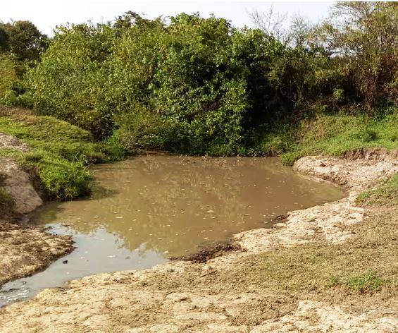 Chepalungu Forest(水系 / 湖泊 / 海岸)-非行家旅行-Africa Wild Wander