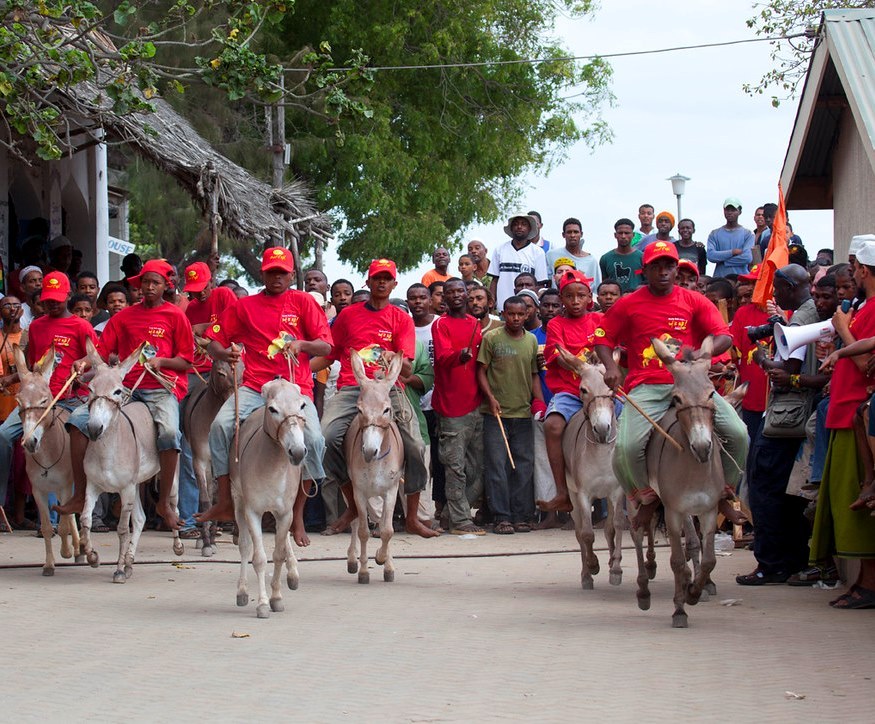 Festivals in Lamu(文化活动 / 日常生活)-非行家旅行-Africa Wild Wander