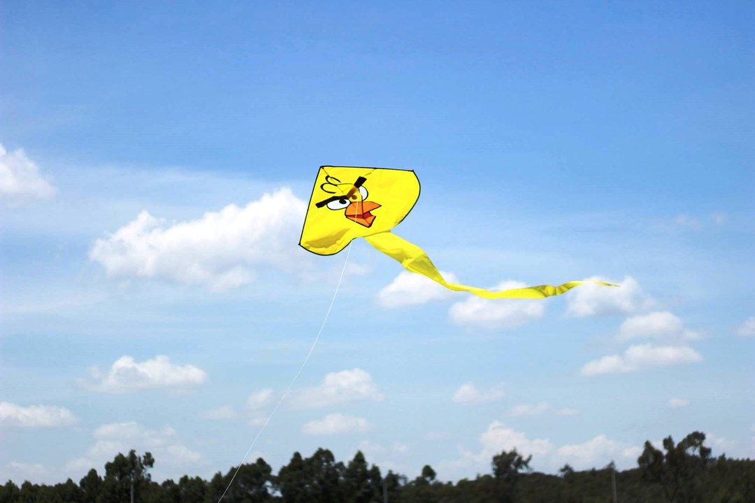 Kite Festival（活动体验 / 文创）-非行家旅行-Africa Wild Wander