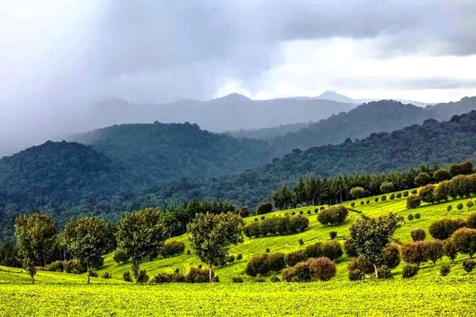 Tinderet Mountain（山地 / 洞穴）-非行家旅行-Africa Wild Wander
