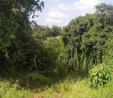Ruamuthambi Falls（鲁阿穆坦比瀑布）-非行家旅行-Africa Wild Wander