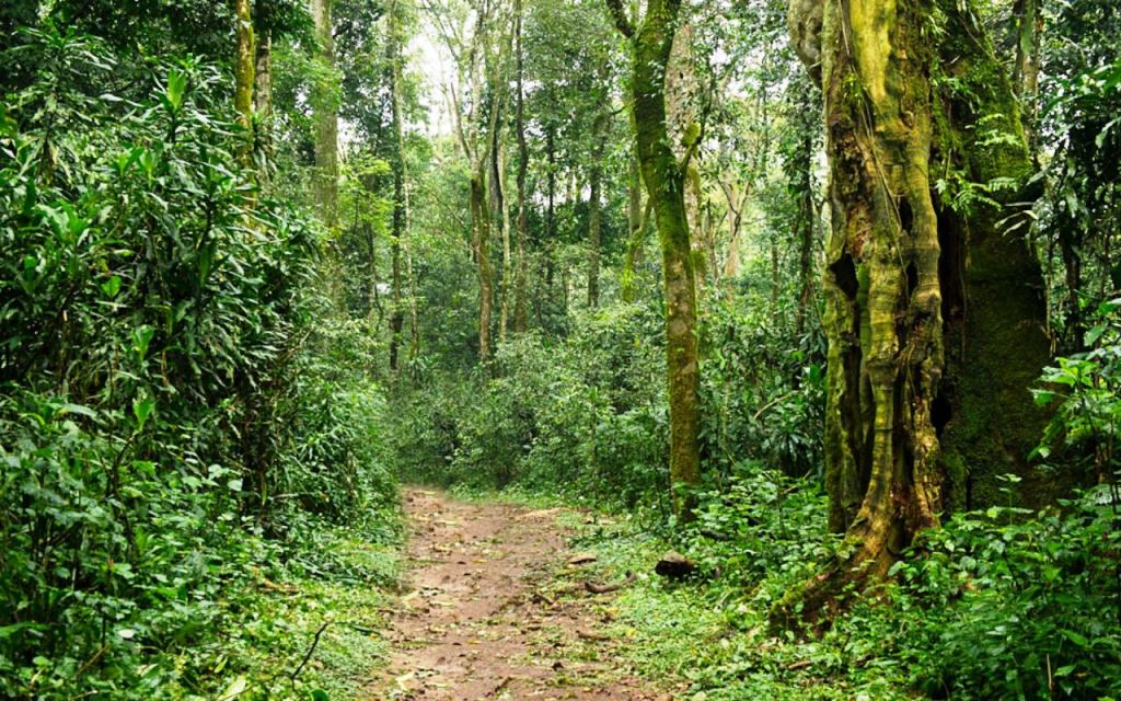 Isiukhu Falls（伊休库瀑布）-非行家旅行-Africa Wild Wander