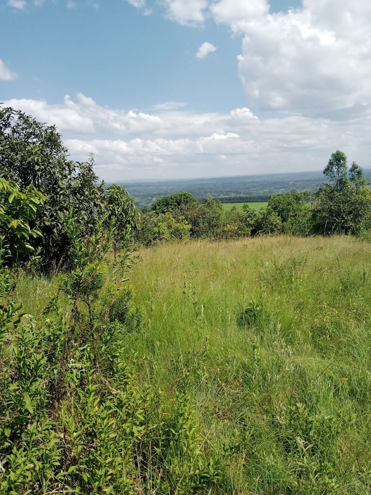 Kibugat Hill（自然景观 / 徒步）-非行家旅行-Africa Wild Wander