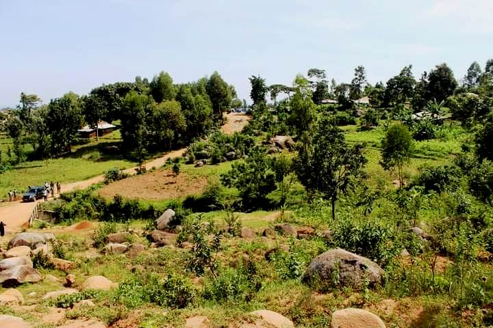 Bunyore Hills（布尼奥雷丘陵）-非行家旅行-Africa Wild Wander