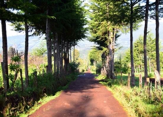 Rurimeria Hill Trail（鲁里梅里亚山徒步）-非行家旅行-Africa Wild Wander