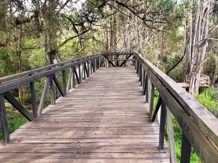 Cedar Retreat（住宿休闲 / 艺术度假）-非行家旅行-Africa Wild Wander