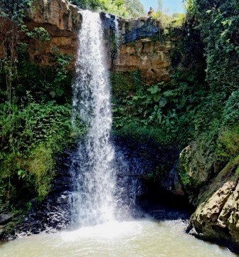 Gatura Greens Farm（加图拉紫茶农场）-非行家旅行-Africa Wild Wander