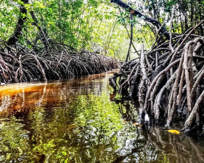 Sudi Island（水系 / 湖泊 / 海岸）-非行家旅行-Africa Wild Wander