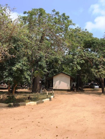KWS Shimoni Cottages（住宿餐饮 / 休闲设施）-非行家旅行-Africa Wild Wander