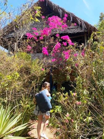 Blue Monkey Cottages（住宿餐饮 / 休闲设施）-非行家旅行-Africa Wild Wander