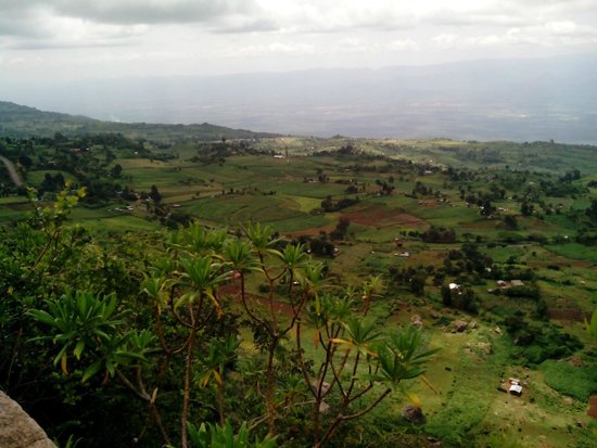 Active Edge（自然景观 / 徒步）-非行家旅行-Africa Wild Wander