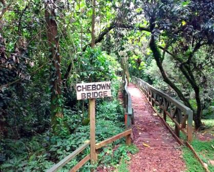 Tagabi Monkey Sanctuary（县域目的地）-非行家旅行-Africa Wild Wander