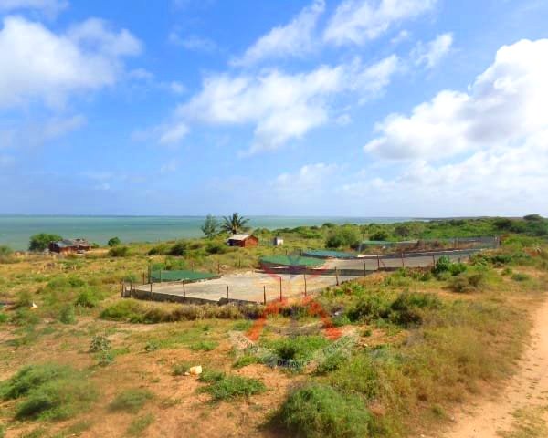 Ishakani Ruins（斯瓦希里遗产 / 博物馆）-非行家旅行-Africa Wild Wander