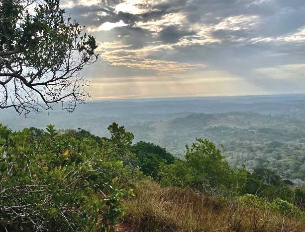 The Nyika（斯瓦希里遗产 / 文化景观）-非行家旅行-Africa Wild Wander