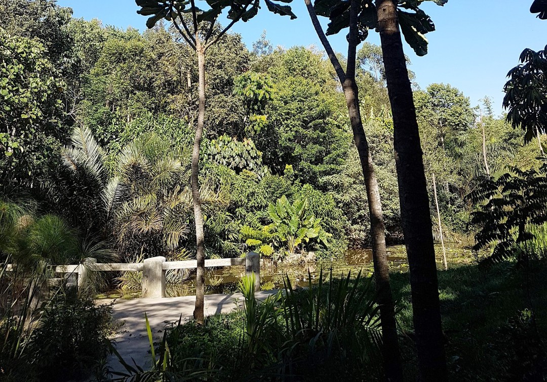 Busambuli Ecolodge（布桑布利生态旅馆）-非行家旅行-Africa Wild Wander