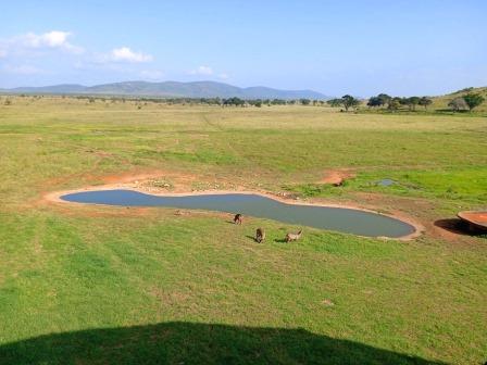 LUMO Wildlife Conservancy（LUMO 野生动物保护地）-非行家旅行-Africa Wild Wander