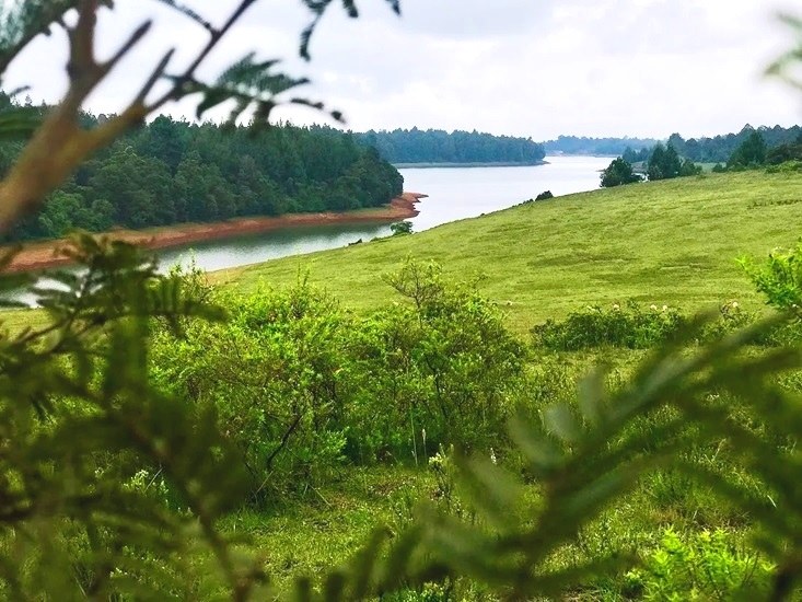 Sasumua Dam（萨苏穆阿水库）-非行家旅行-Africa Wild Wander