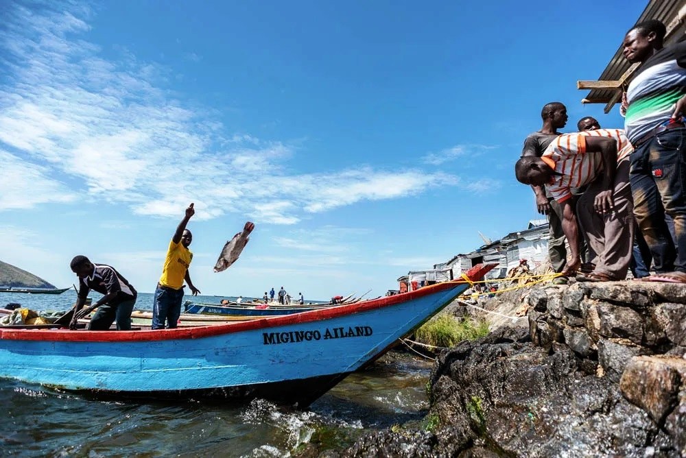 Migingo Island（米金戈岛）-非行家旅行-Africa Wild Wander