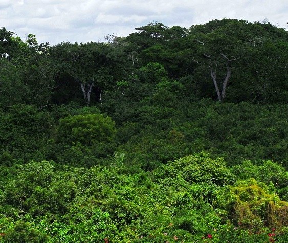 Dodori National Reserve（多多里国家保护区）-非行家旅行-Africa Wild Wander