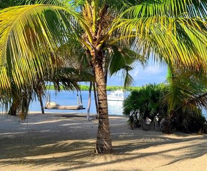 Manda Bay Lodge（海岛 / 海滩 / 船行体验）-非行家旅行-Africa Wild Wander