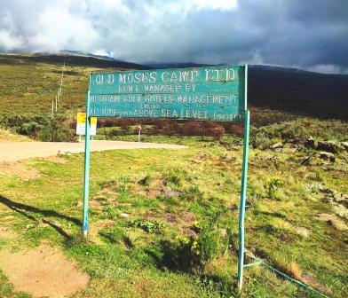 Mount Kenya One-Day Trip（Mount Kenya / 高山路线）-非行家旅行-Africa Wild Wander