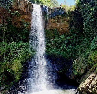 Gatura Greens Farm（加图拉紫茶农场）-非行家旅行-Africa Wild Wander