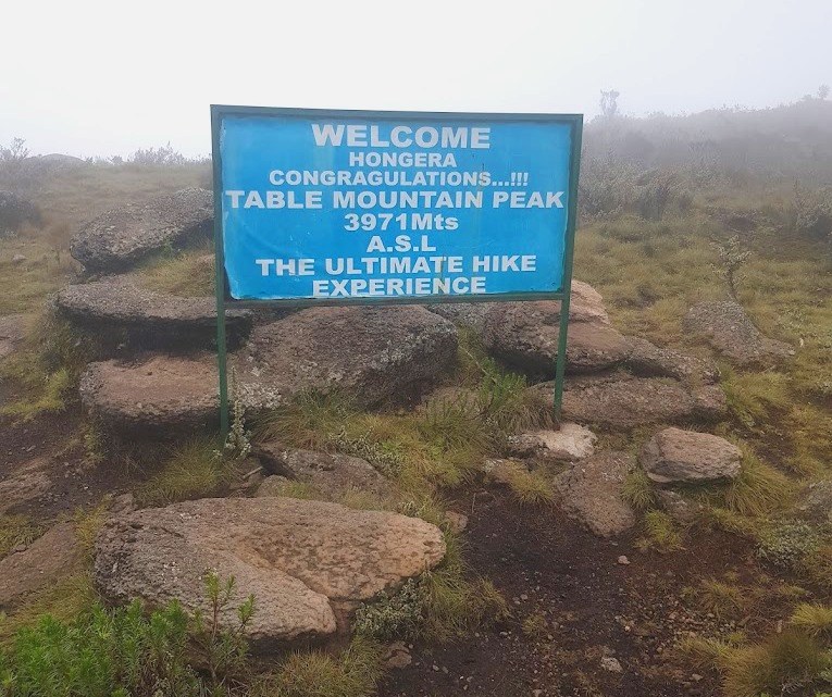 Table Mountain（Aberdare 高山 / 徒步）-非行家旅行-Africa Wild Wander