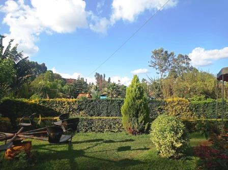Cool Stream Garden(县域目的地)-非行家旅行-Africa Wild Wander
