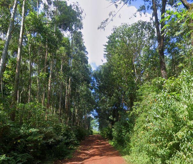 Kimugu River Lodge（水系 / 瀑布）-非行家旅行-Africa Wild Wander