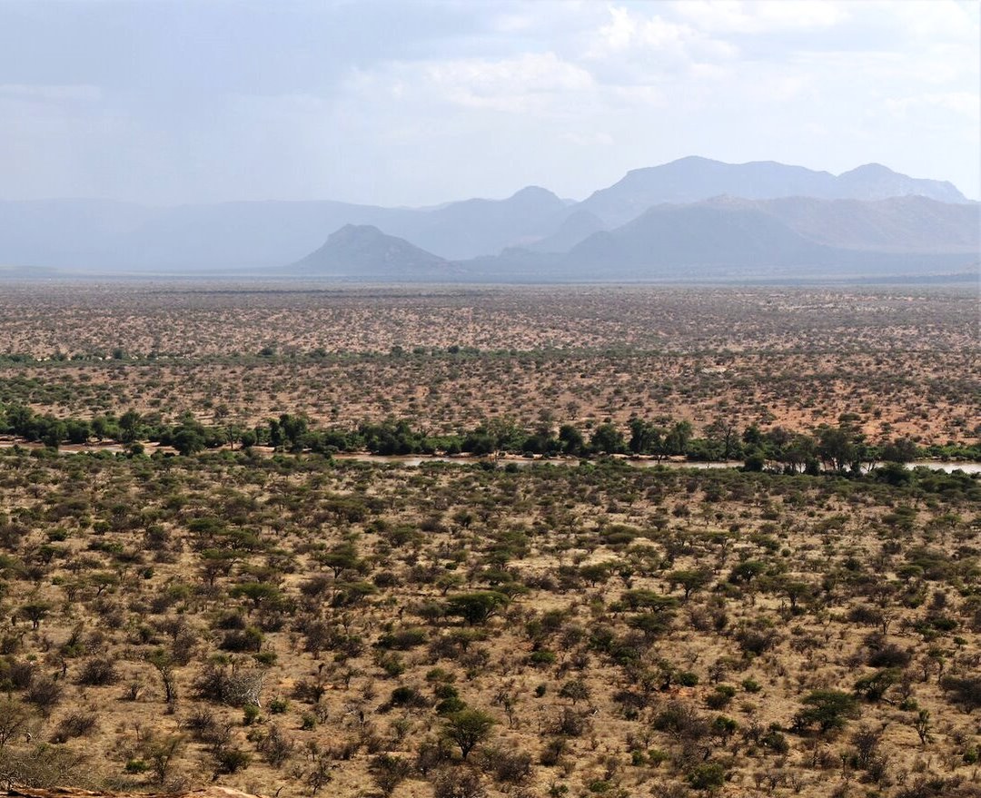 Westgate Conservancy（西门社区保护地）-非行家旅行-Africa Wild Wander