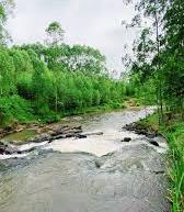 River Gucha（水系 / 湖泊 / 海岸）-非行家旅行-Africa Wild Wander