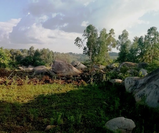 Komotobo Mission（科莫托博宣教站）-非行家旅行-Africa Wild Wander