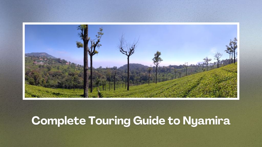 Nyamira County（尼亚米拉县）-非行家旅行-Africa Wild Wander