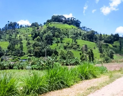 Anabas Resort Grill（住宿休闲 / 城市服务）-非行家旅行-Africa Wild Wander