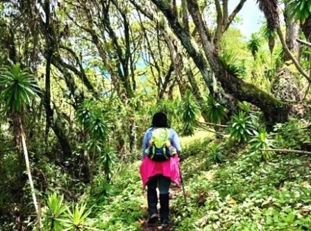 Mount Kipipiri（基皮皮里山）-非行家旅行-Africa Wild Wander