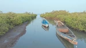 Munje Octopus Closure（海洋保护 / 海岛体验）-非行家旅行-Africa Wild Wander