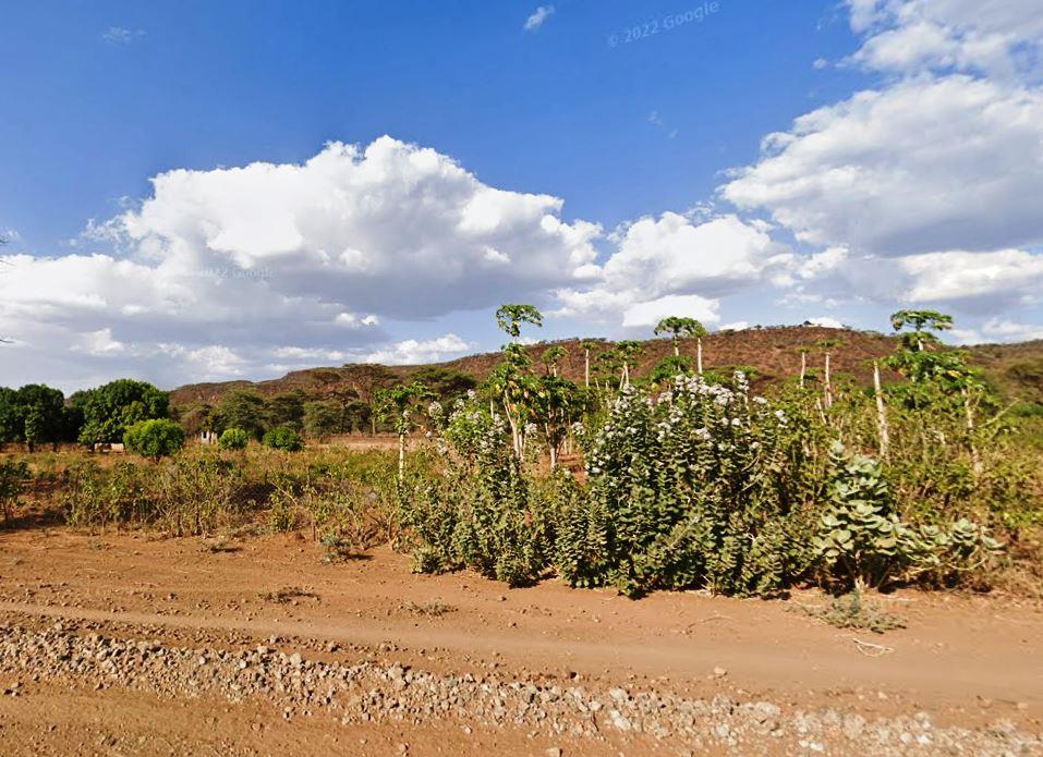 Chuine Conservancy-非行家旅行-Africa Wild Wander