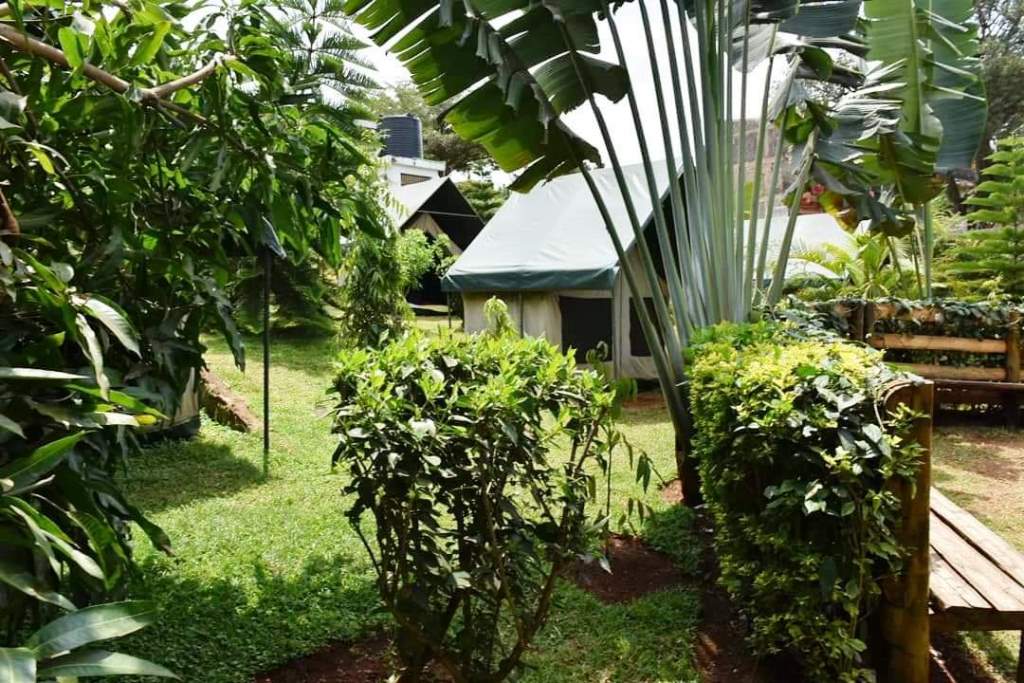 Stanley’s Haven（住宿休闲 / 周末营地）-非行家旅行-Africa Wild Wander