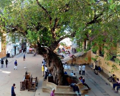 Lamu Fort（拉穆堡）-非行家旅行-Africa Wild Wander
