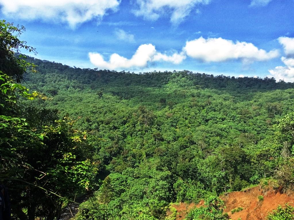 Aberdare Forest（阿伯德尔森林）-非行家旅行-Africa Wild Wander