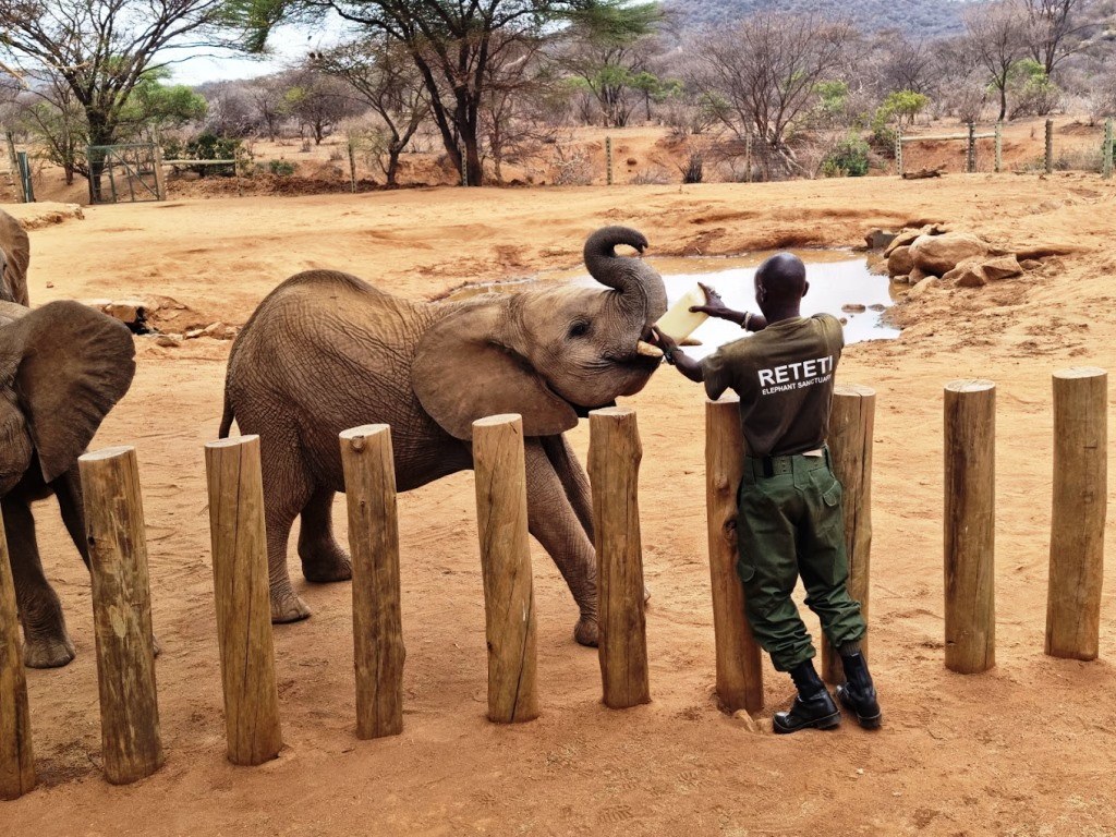 Reteti Elephant Sanctuary（雷特提大象保护中心）-非行家旅行-Africa Wild Wander