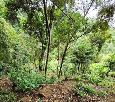 Irine Falls（地貌 / 瀑布 / 泉水）-非行家旅行-Africa Wild Wander